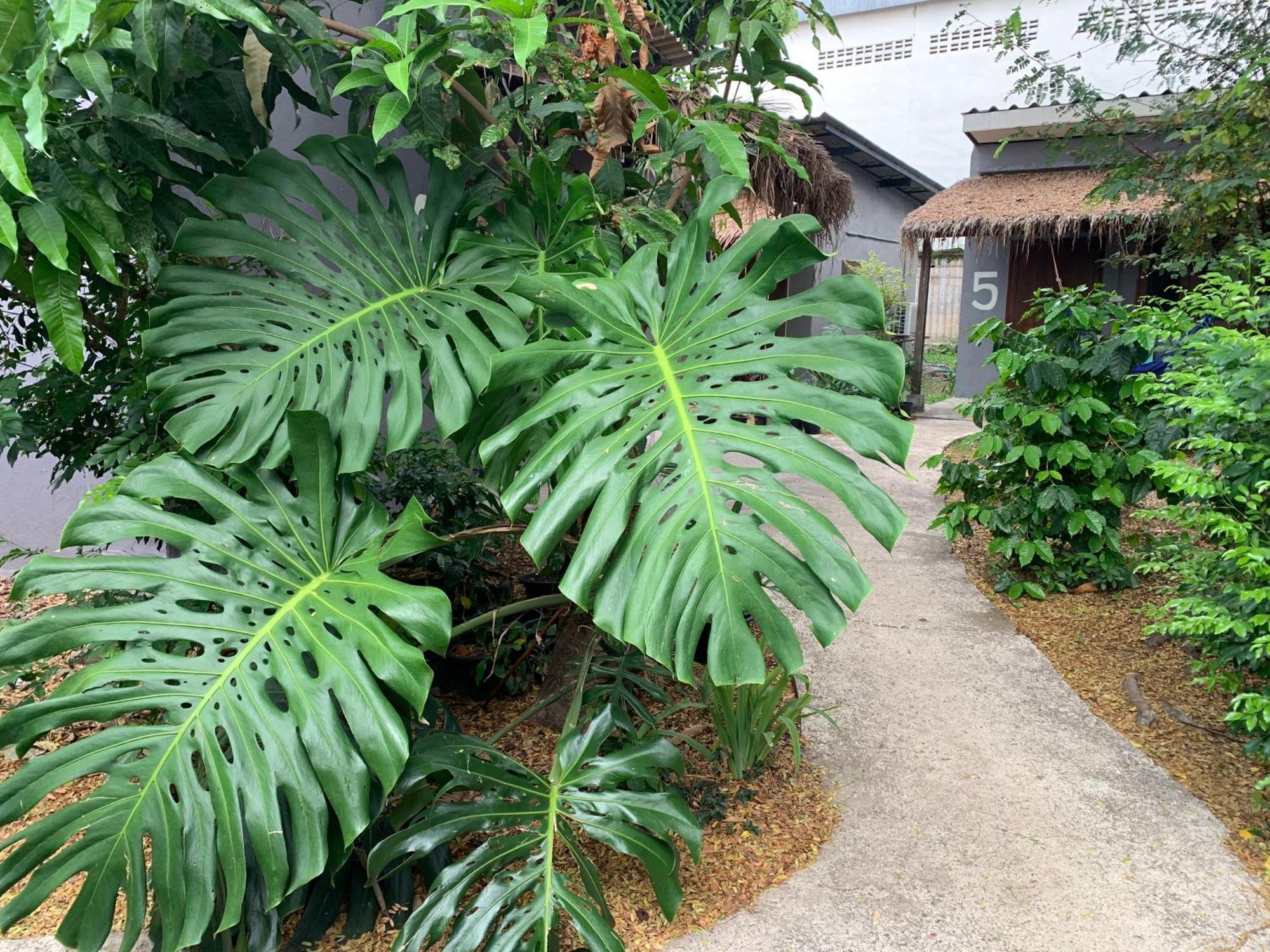 บ้านใจแปงโฮมสเตย์ Ban Jaipang Homestay Pai