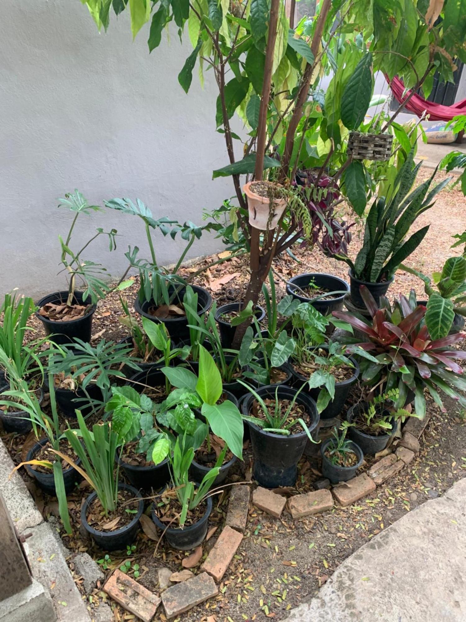 Homestay บ้านใจแปงโฮมสเตย์ Ban Jaipang
